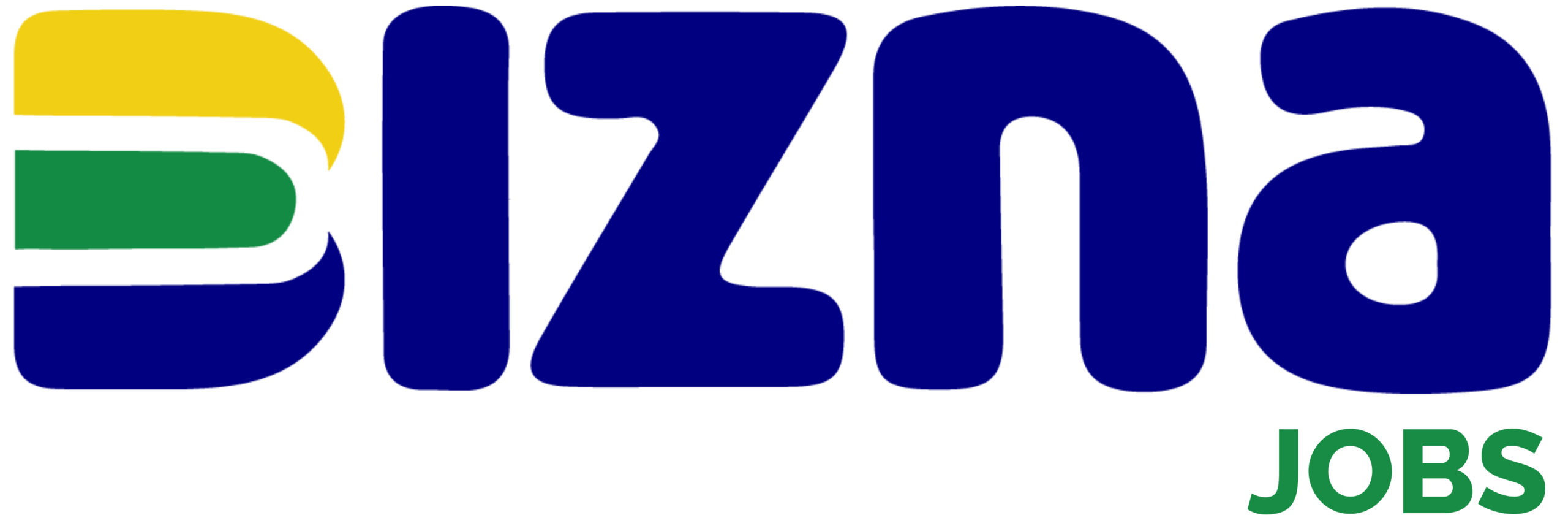 BIZNA JOBS